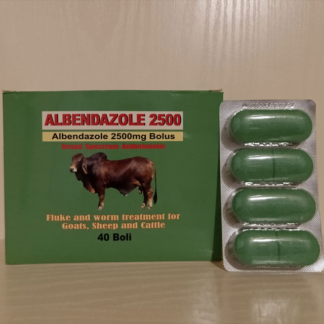 Albendazole Bolus 2500mg